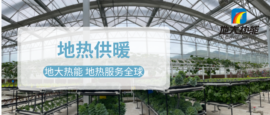 發(fā)揮地?zé)豳Y源優(yōu)勢(shì)，地?zé)徂r(nóng)業(yè)實(shí)現(xiàn)花卉產(chǎn)業(yè)特色發(fā)展 | 地大熱能 地?zé)岱?wù)全球