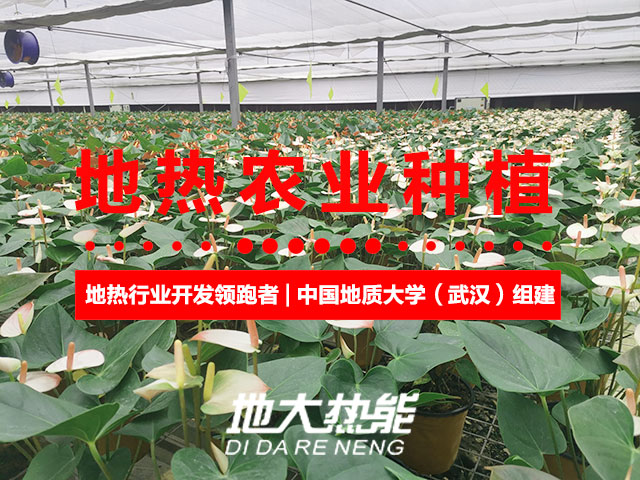 濟南：“地熱能+農(nóng)業(yè)”產(chǎn)業(yè)融合，讓地熱能真正“熱”起來-地大熱能